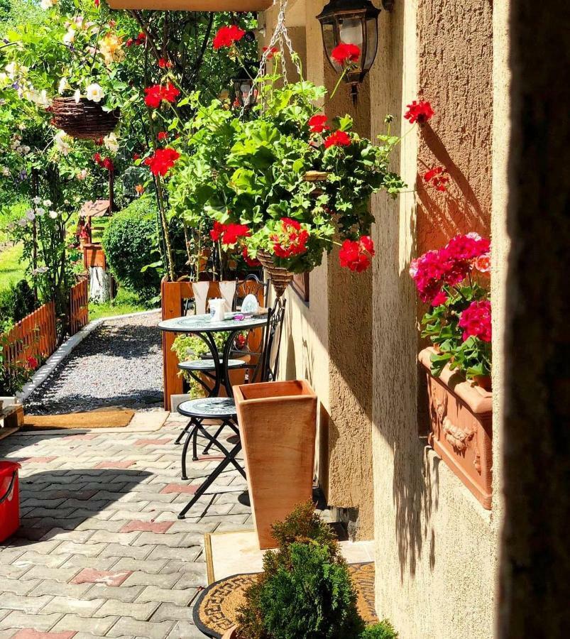 Hotel Casa Rosca Sighişoara Esterno foto